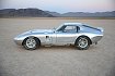 Shelby Cobra Daytona Coupe 50th Anniversary